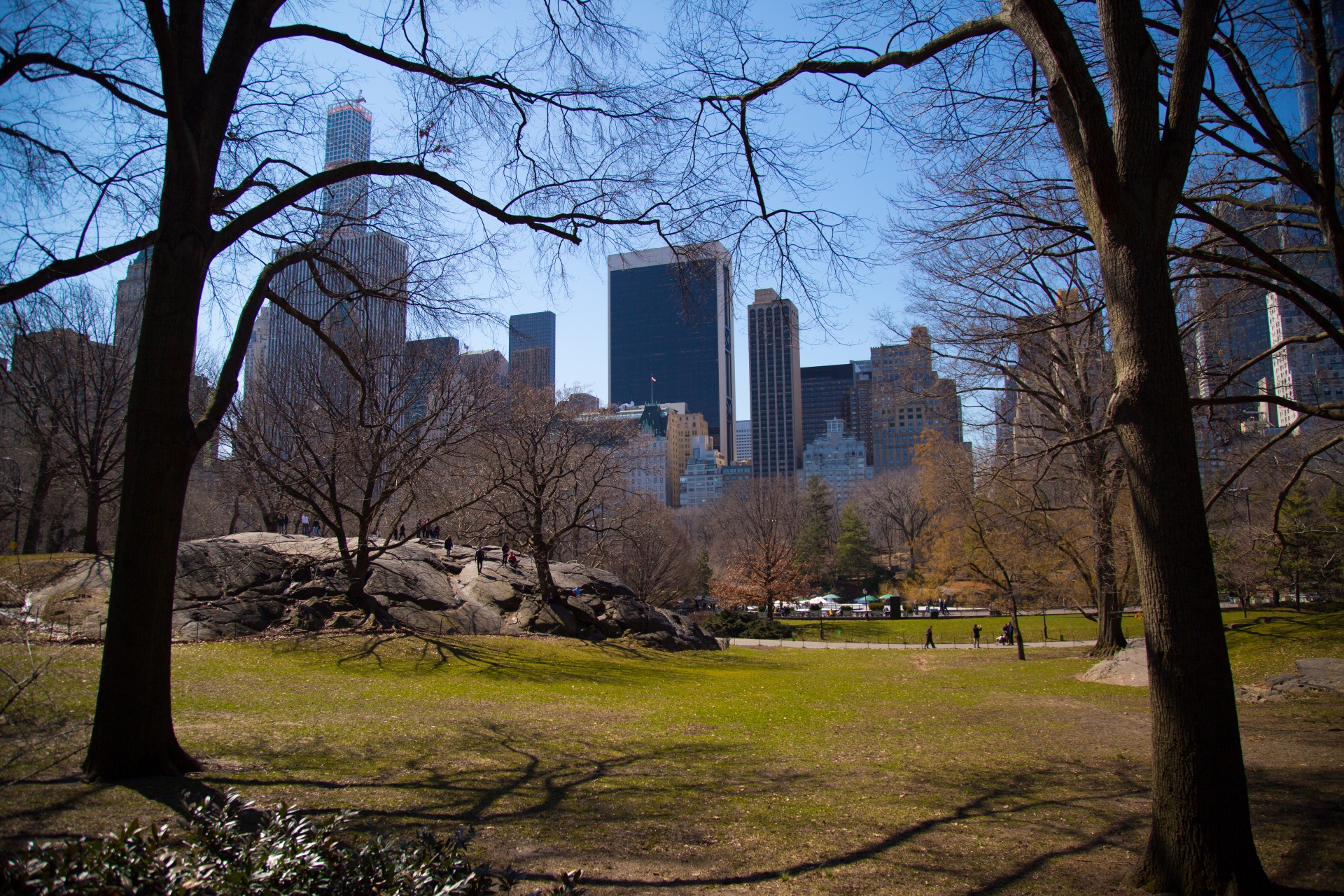 Парки в америке в городе. Парк в Нью-Йорке. Гайден парк Нью-Йорк. Грин парк Нью Йорк. Централ парк Нью-Йорк.